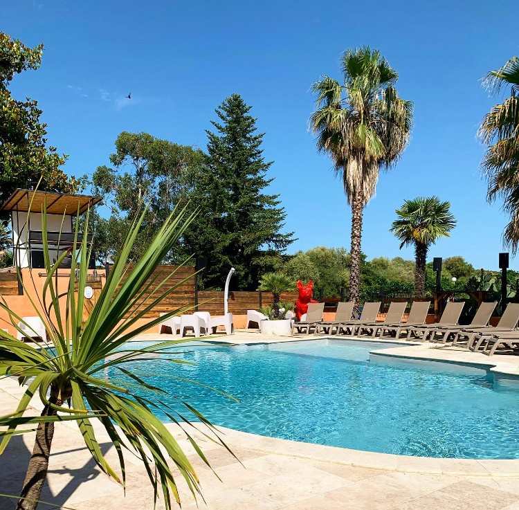 Piscine entourée de palmiers